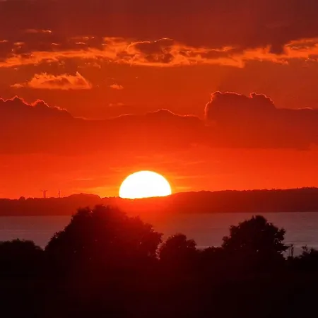 Sonnenliebe * Barendorf (Mecklenburg-Vorpommern)