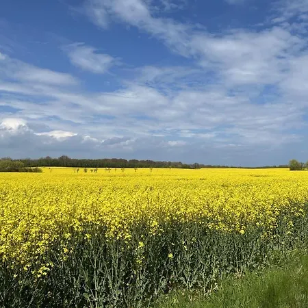 Sonnenliebe Holiday home Barendorf (Mecklenburg-Vorpommern)